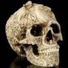 Totenkopf - Cranial Drakos 2 Totenkopf - Cranial Drakos -Statuen Modell Verkauf Totenkopf Cranial Drakos 1280x1280