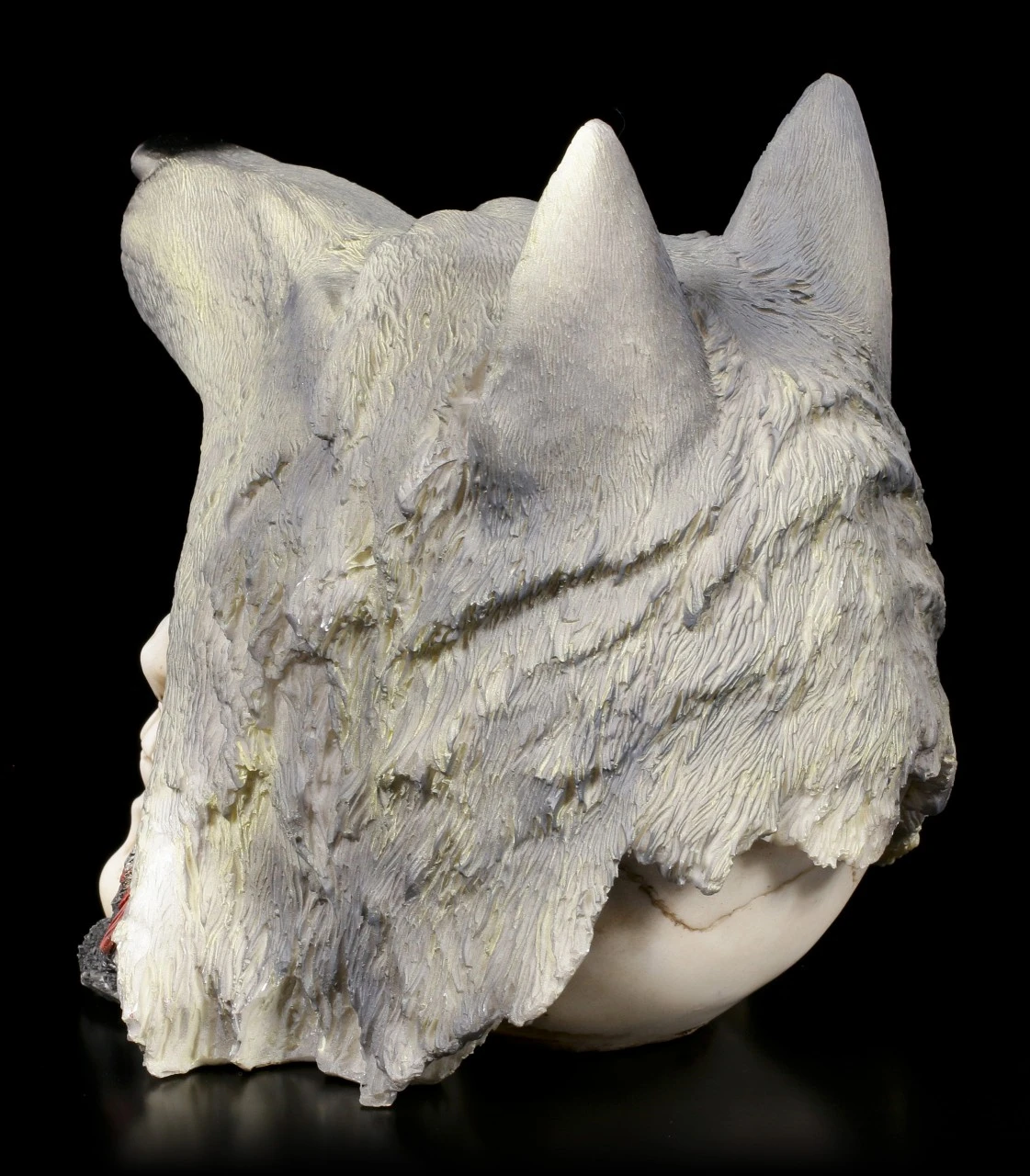 Totenkopf - Indianer Mit Wolfskopf 6 Totenkopf - Indianer Mit Wolfskopf – Bild 4