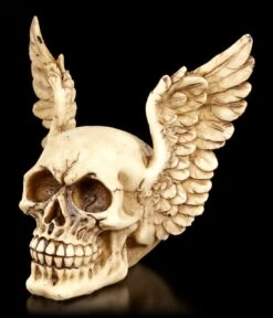 Totenkopf Mit Flügeln - Wings Of Heaven 8 Totenkopf Mit Flügeln - Wings Of Heaven -Statuen Modell Verkauf Totenkopf Mit Fluegeln Wings Of Heaven 2 1280x1280