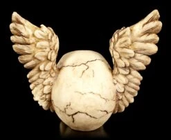 Totenkopf Mit Flügeln - Wings Of Heaven 9 Totenkopf Mit Flügeln - Wings Of Heaven -Statuen Modell Verkauf Totenkopf Mit Fluegeln Wings Of Heaven 3 1280x1280