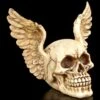 Totenkopf Mit Flügeln - Wings Of Heaven