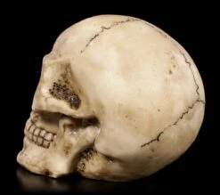 Totenkopf Mit Roten Augen -Statuen Modell Verkauf Totenkopf Mit Roten Augen 3 1280x1280