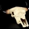 Totenkopf - Rinder Schädel Western -Statuen Modell Verkauf Totenkopf Rinder Schaedel 1280x1280