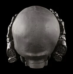 Totenkopf - See No Evil - Schwarz -Statuen Modell Verkauf Totenkopf See No Evil Schwarz 3 1280x1280