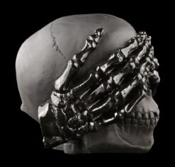 Totenkopf - See No Evil - Schwarz -Statuen Modell Verkauf Totenkopf See No Evil Schwarz 4 1280x1280