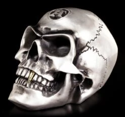 Alchemy Totenkopf - Metallfarbener Alchemist -Statuen Modell Verkauf Totenkopf Silber 2 1280x1280