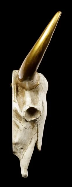 Wandrelief Büffel Schädel - Goldene Hörner 9 Wandrelief Büffel Schädel - Goldene Hörner -Statuen Modell Verkauf Wandrelief Bueffel Schaedel Mit Goldenen Hoernern 2 1280x1280