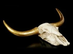 Wandrelief Büffel Schädel - Goldene Hörner 10 Wandrelief Büffel Schädel - Goldene Hörner -Statuen Modell Verkauf Wandrelief Bueffel Schaedel Mit Goldenen Hoernern 3 1280x1280