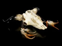 Wandrelief Stier Schädel - Indianer Look 11 Wandrelief Stier Schädel - Indianer Look -Statuen Modell Verkauf Wandrelief Stier Schaedel Im Indianer Look 4 1280x1280